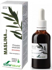 Maslina – prirodni ekstrakt 50 ml