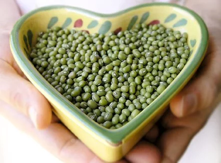 Monodijeta - idealan način čišćenja organizma i skidanja kilograma