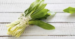 Prirodni lijek za kolesterol - biljne kapi medvjeđeg luka