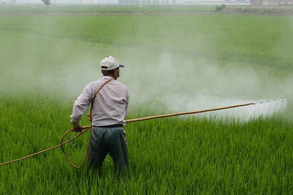 špricanje uspjeva pesticidima