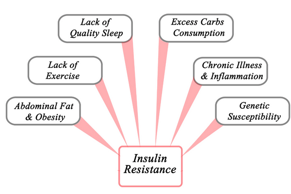 Čibmenici koji dovode do inzulinske rezistenacije