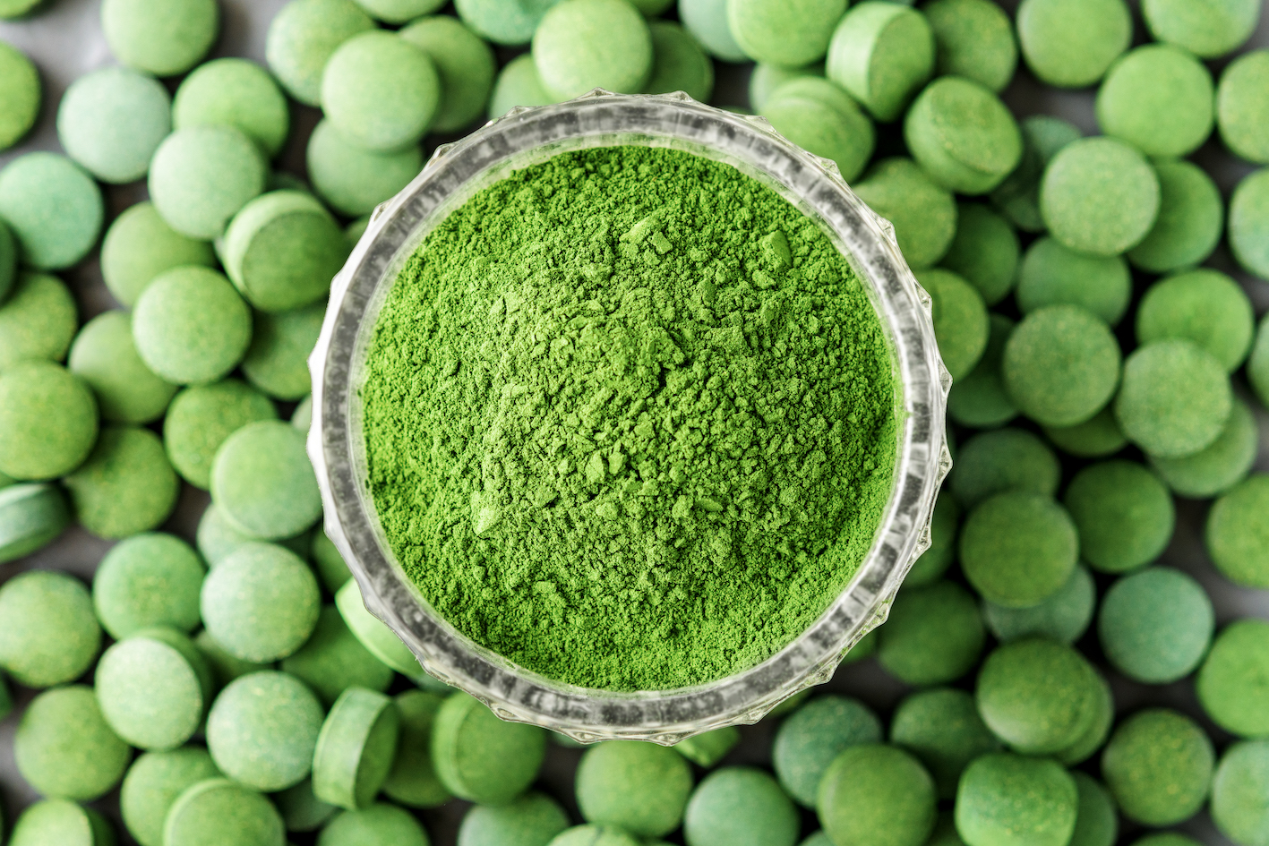 alga chlorella