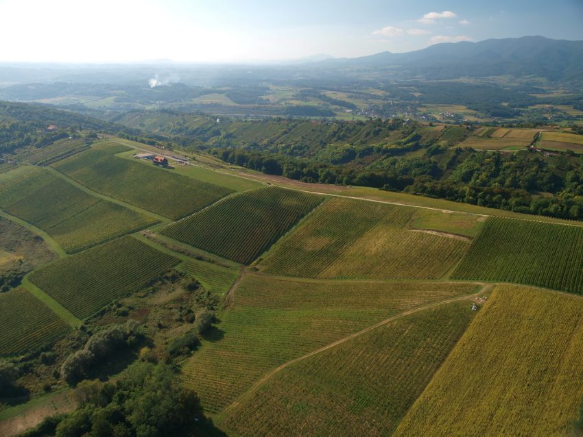 Bolfan vinarija okruženje