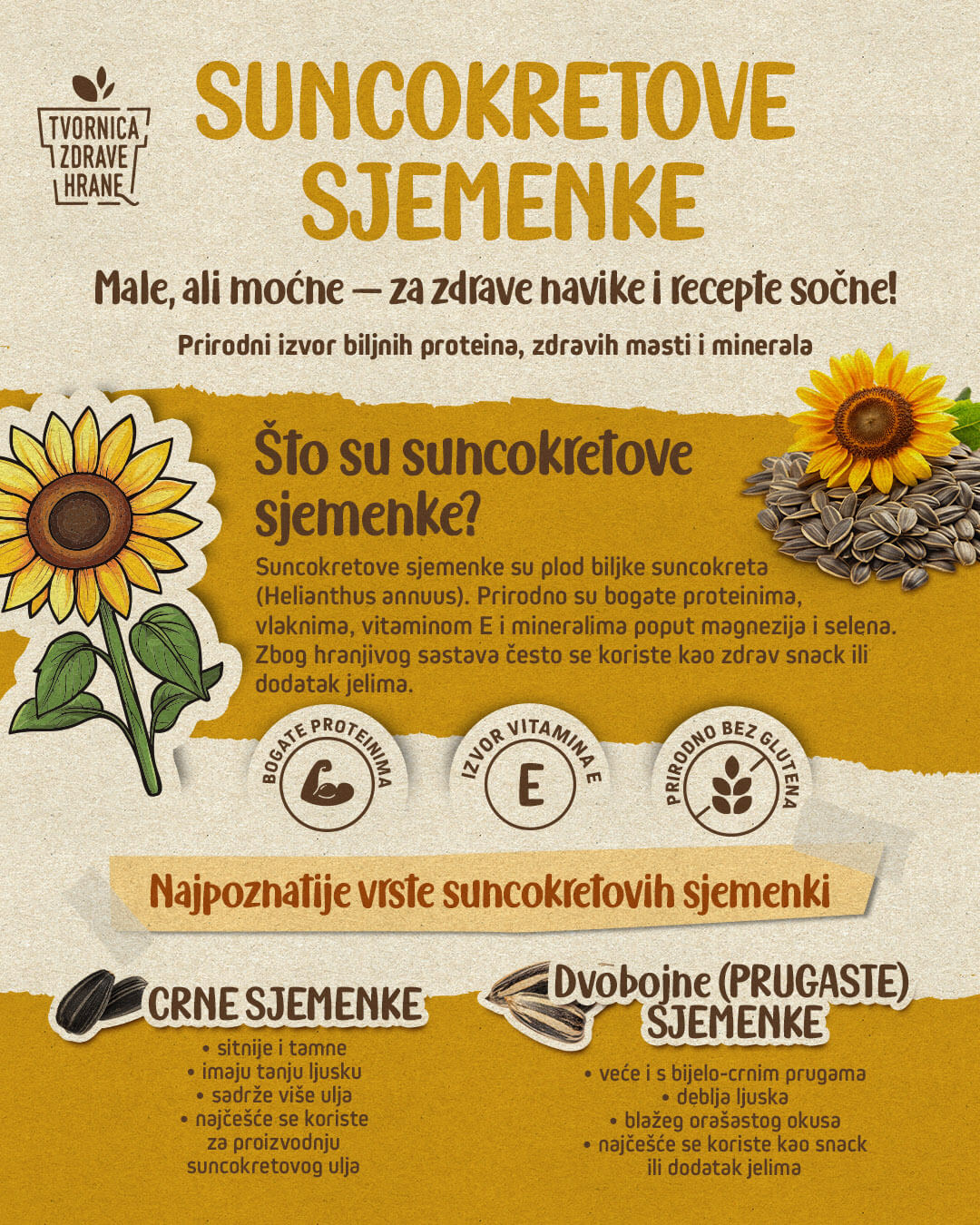 Infografika suncokretove sjemenke