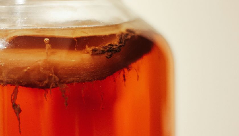 Kombucha je fermentirani čaj u kojis e dodaje simbiotska kultura bakterija i kvasaca.