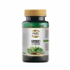 l-carnitine price in india Optimum Nutrition L-Carnitine 500 mg Price in India