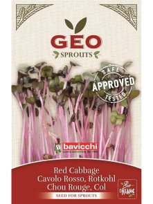Sjemenke Crvenog kupusa za klijanje - Organske 12g Geo