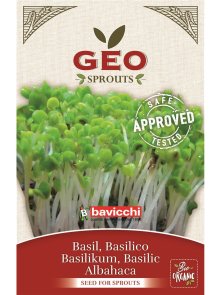 Sjemenke Bosiljka za klijanje - Organske 6g Geo