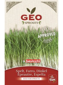 Sjemenke Pira za klijanje - Organske 400g Geo