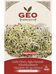 Sjemenke Vlatnog češnjaka za klijanje - Organske 5g Geo