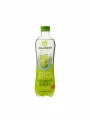 Osvježavajuće gazirano piće Bazga - Organsko 500ml Hollinger