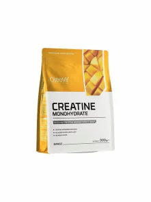 Kreatin Monohidrat u plastičnom pakiranju od 300g.