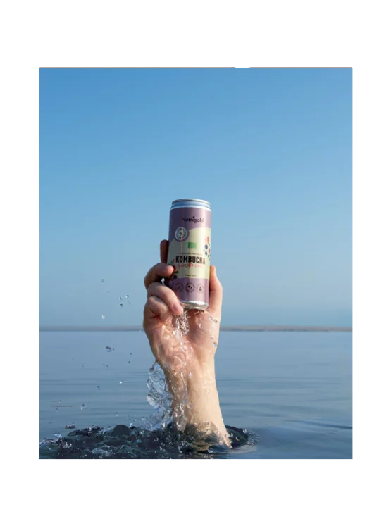 Kombucha Šumsko voće - Organska 330ml Nutrigold