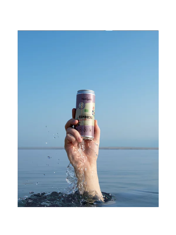 Kombucha Šumsko voće - Organska 330ml Nutrigold