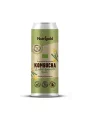 Nutrigold oirganska kombucha s đumbirom i limunskom travom u zelenoj limenci od 330ml