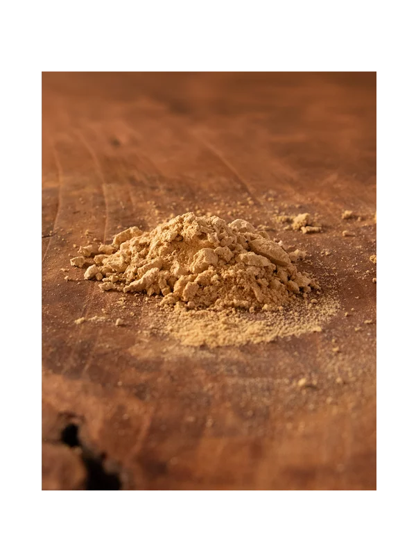 Lavlja griva u prahu - Organska 150g Nutrigold