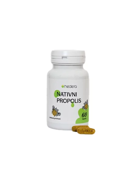 Nativni propolis - 60 kapsula hedera