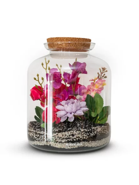 Terarij XL - Biljke.Plants