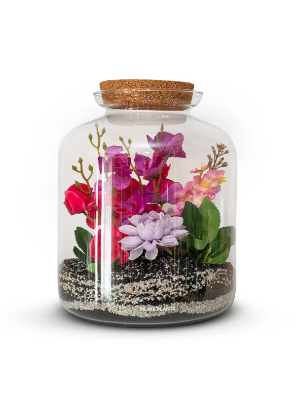 Terarij XL - Biljke.Plants