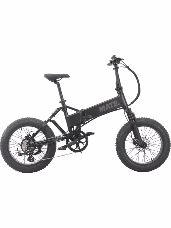 Mate X Evo 250W električni bicikl u boji Subdued Black