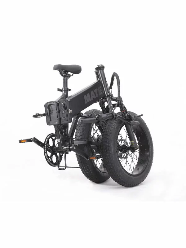 Mate X Evo 250W - Subdued Black