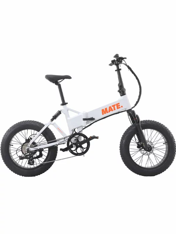 Mate X Evo 250W lektrični bicikl u boji Ghost Gravity