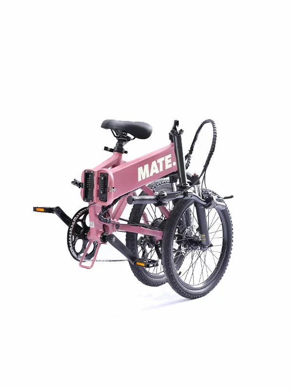 Mate Icon - Soft Bloom