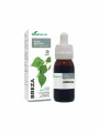 Breza – prirodni ekstrakt u bočici od 50 ml
