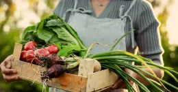 Na roštilju, u juhi ili u blenderu: Top proljetne namirnice za energiju i sjajnu kožu