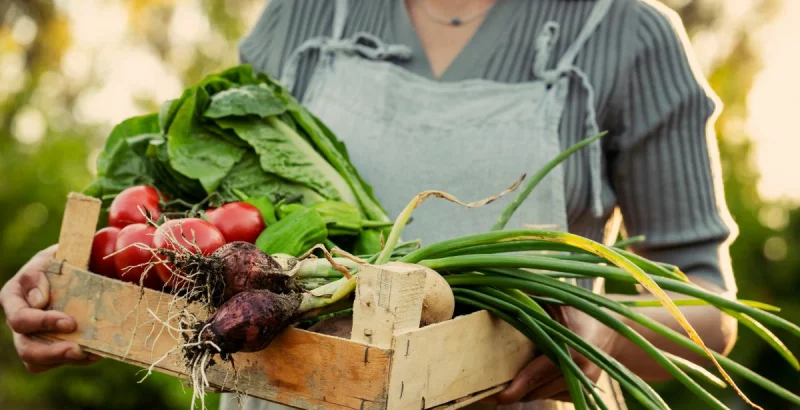Na roštilju, u juhi ili u blenderu: Top proljetne namirnice za energiju i sjajnu kožu