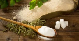 Šećer od breze (ksilitol) - za dijabetičare, za djecu i trudnice