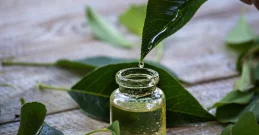 Kozmetika s čajevcem za sjajnu i zdravu kožu!