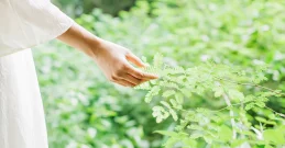 Ublažite simptome menopauze - savjeti i najbolji biljni lijekovi