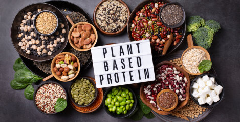 biljni izvori proteina