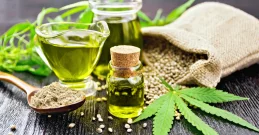 Ulje konoplje - biser prirode i lijek