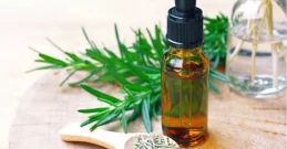 Eterično ulje ružmarina - od jače kose do poboljšanja cirkulacije