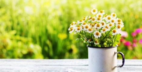 Proljeće je vrijeme za detox i čišćenje prema Ayurvedi