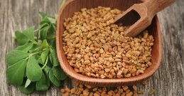 Piskavica sjemenke pobjeđuju dijabetes i visok kolesterol