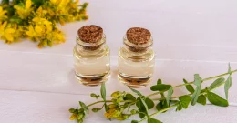 Gospina trava - biljni lijek za probavu, tjeskobu, nesanicu i kožne probleme