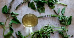 Tulsi prah i čaj - ayurvedski lijek za živčani i respiratorni sustav