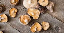 Shiitake - moćne gljive prepune ljekovitih svojstava