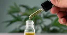 Fantastično ulje nima treba svako kućanstvo