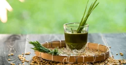 Pšenična trava za zdraviju štitnjaču, čistu krv i bolju probavu