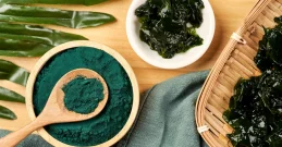 Spirulina - pitanja i odgovori o ljekovitoj algi iz morskih dubina
