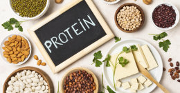 proteinima
