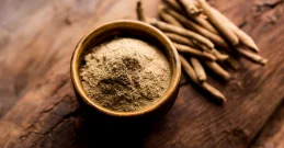 Adaptogeni, nootropici i modulatori imuniteta – tradicionalne medicine u modernoj znanosti suplementacije