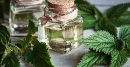 Tinktura od koprive - ljekovitost, upotreba, doziranje i recept