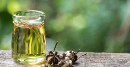 Ricinusovo ulje za kosu i probavu - ljekovita svojstva i upotreba