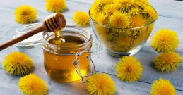 Med od maslačka za jak imunitet - ljekovitost, upotreba i recept