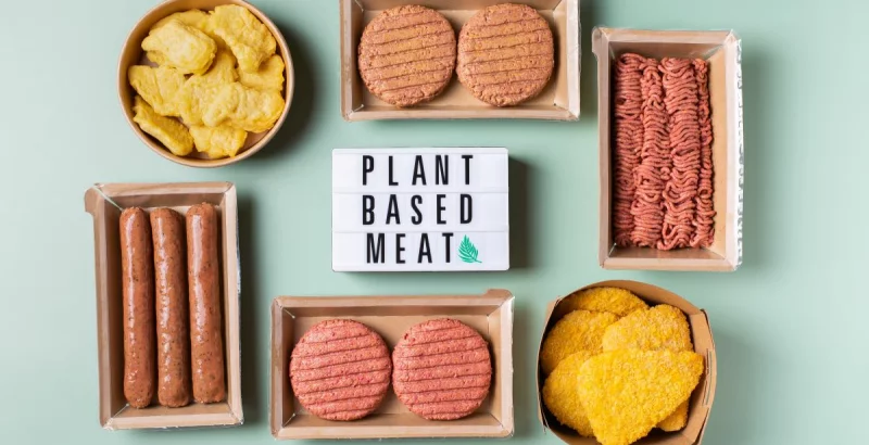 Veganske zamjene za meso